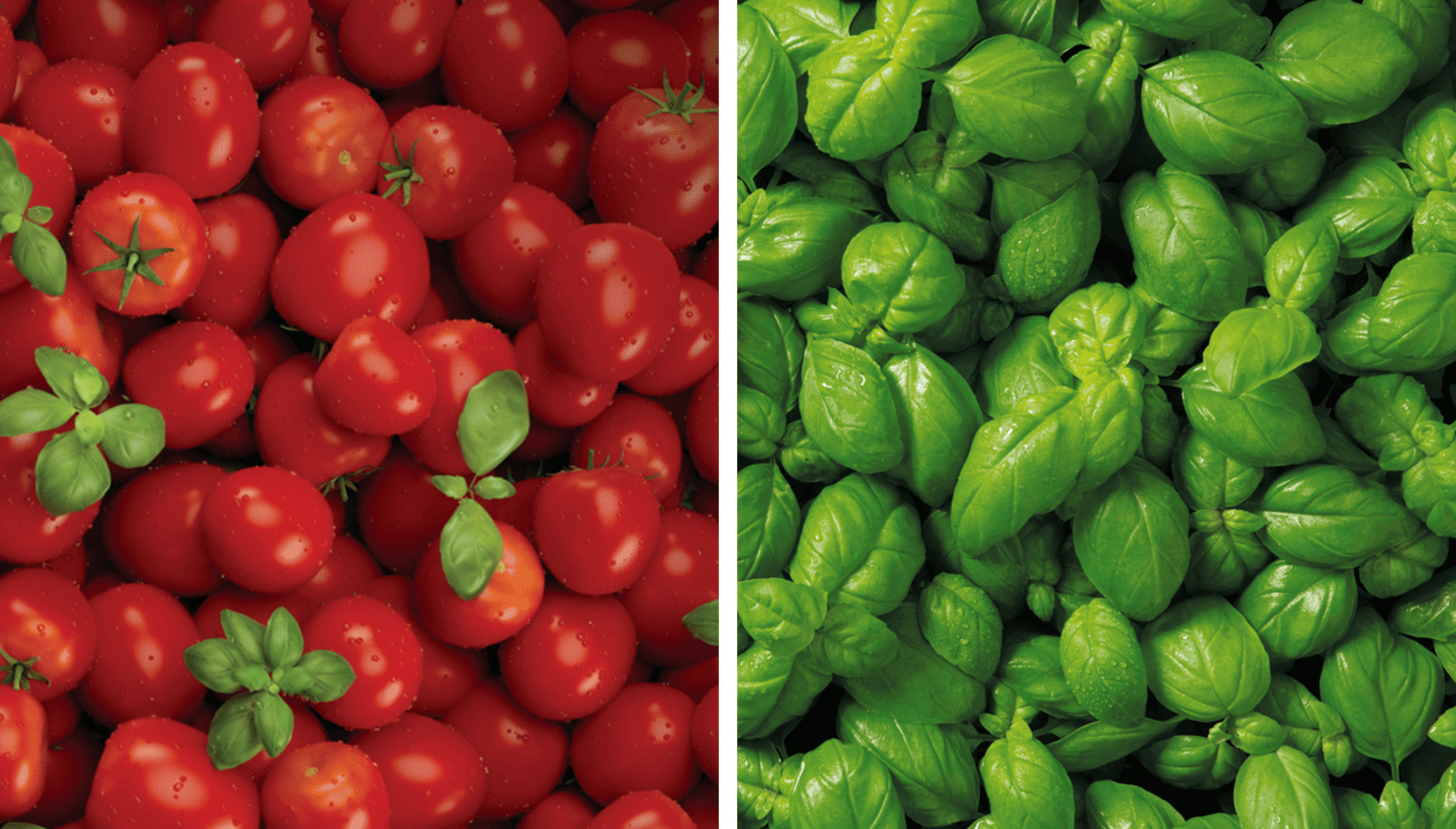 Соусы для итальянской пасты