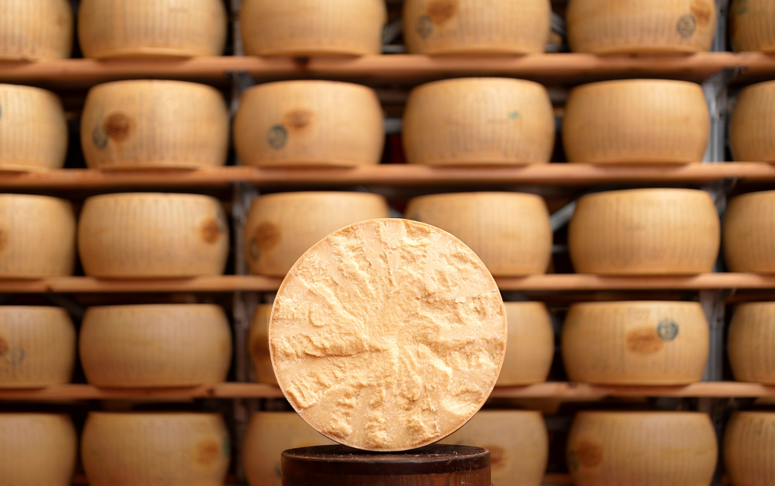 Сыры Италии: названия и виды итальянских сыров